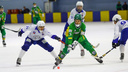 Завершился предварительный этап Кубка России по хоккею с мячом: на каком месте «Водник»