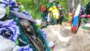 «Там ухаживают, а здесь забыли»: как блестящие надгробия Южного кладбища зарастают папоротниками