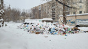 В мэрии назвали виновного в мусорном коллапсе в Челябинске