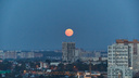 Огромная «голубая Луна» взошла над Новосибирском — смотрим фото и гадаем, где подвох