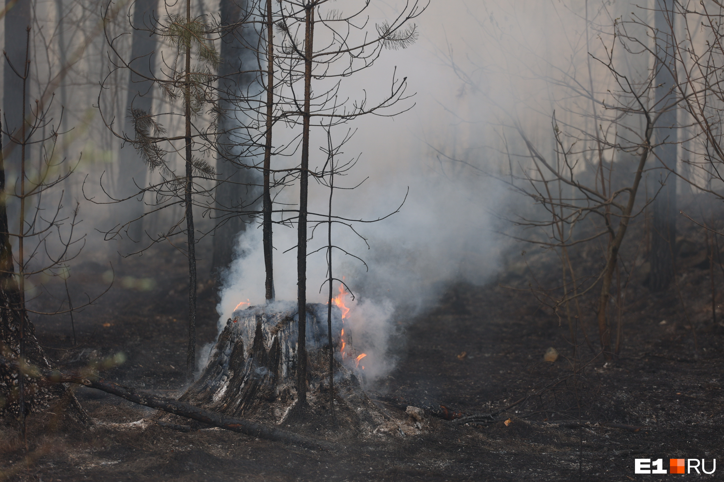 Огнем охвачено 55 тысяч гектаров: где в Свердловской области продолжают бушевать адские пожары
