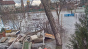 Уровень воды в Дону опасно поднимется в районе Азова