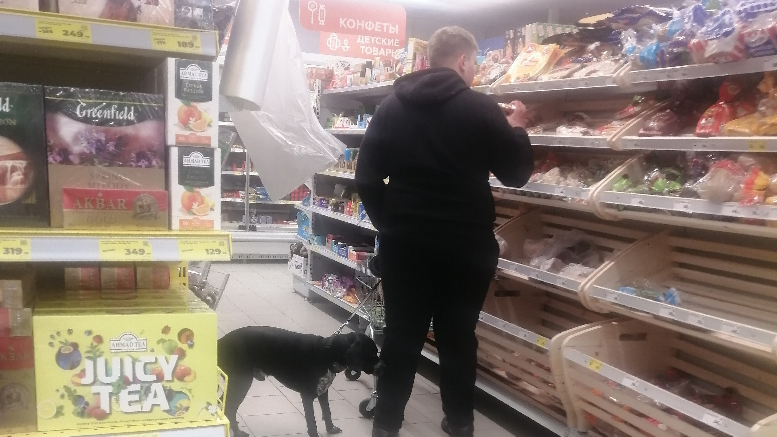 «Взрослому-то не по себе, а как ребенка отправлять?»: челябинка — о покупках в супермаркетах в компании с собаками