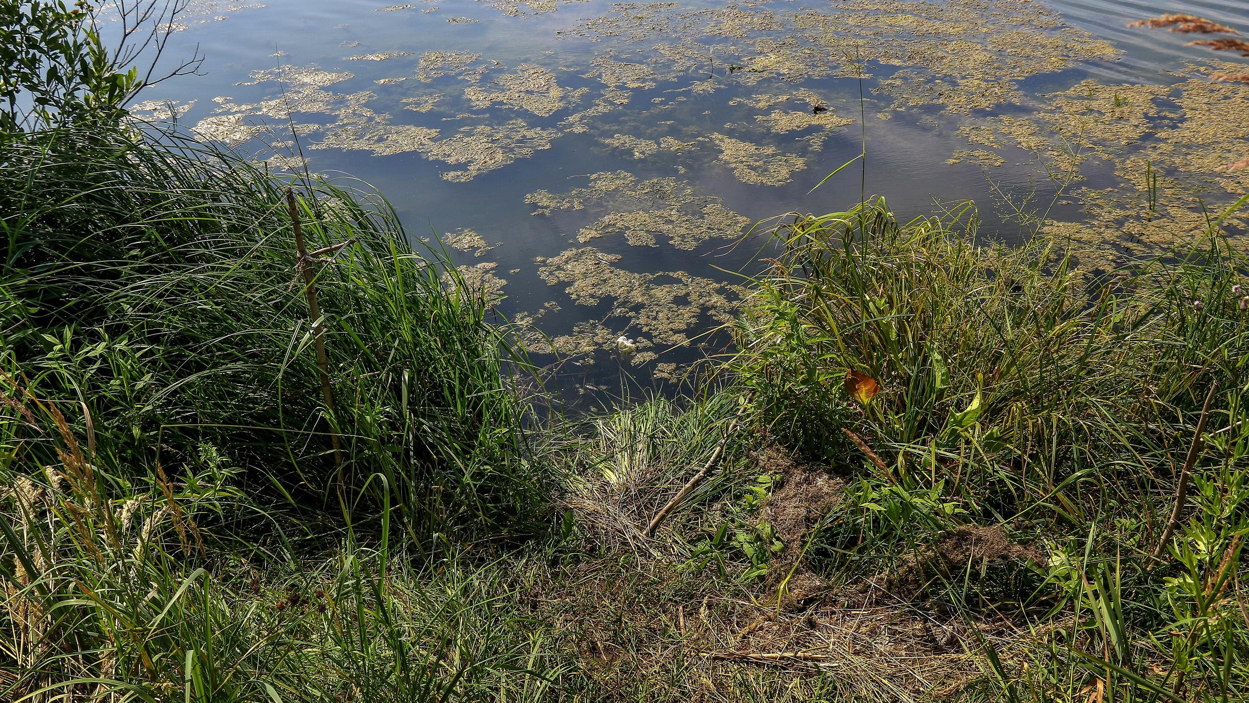 На озере Сортировочном в Канавинском районе пропал 16-летний подросток