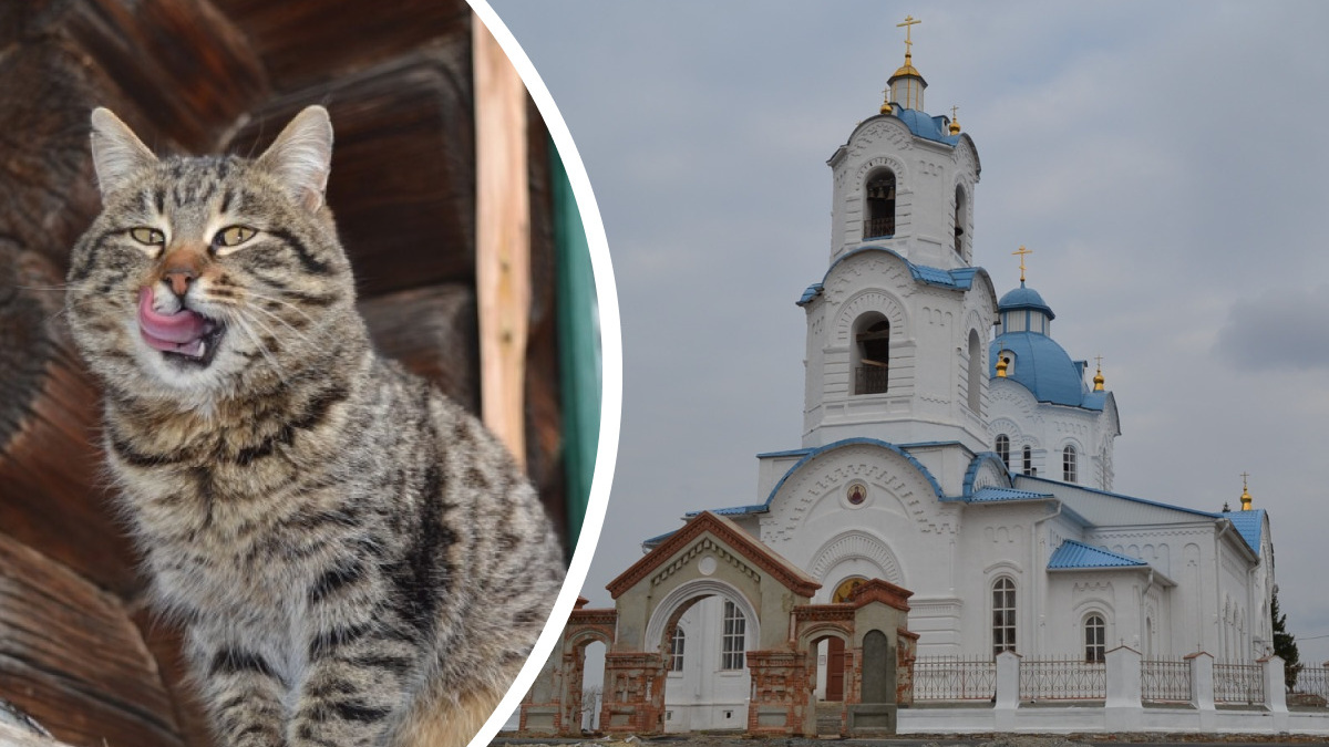 «Коты отрываются за монахинь». Рассказ горожанки, которая на день поселилась в сельском монастыре на Южном Урале