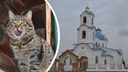 «Коты отрываются за монахинь». Рассказ горожанки, которая на день поселилась в сельском монастыре на Южном Урале