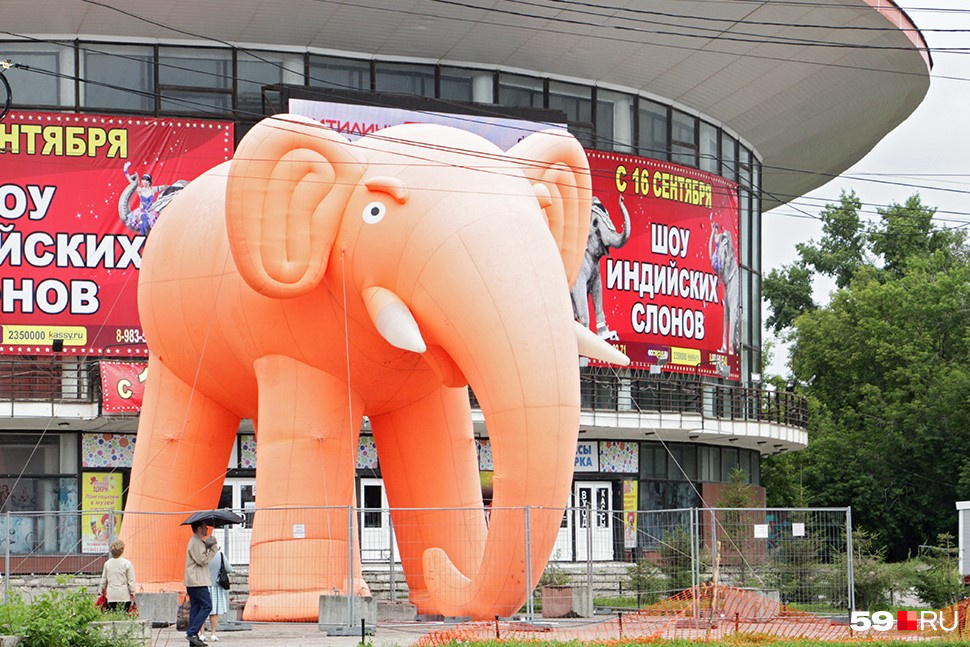 Помните огромного надувного слона? Во второй половине 2010-х он рекламировал новую программу в цирке