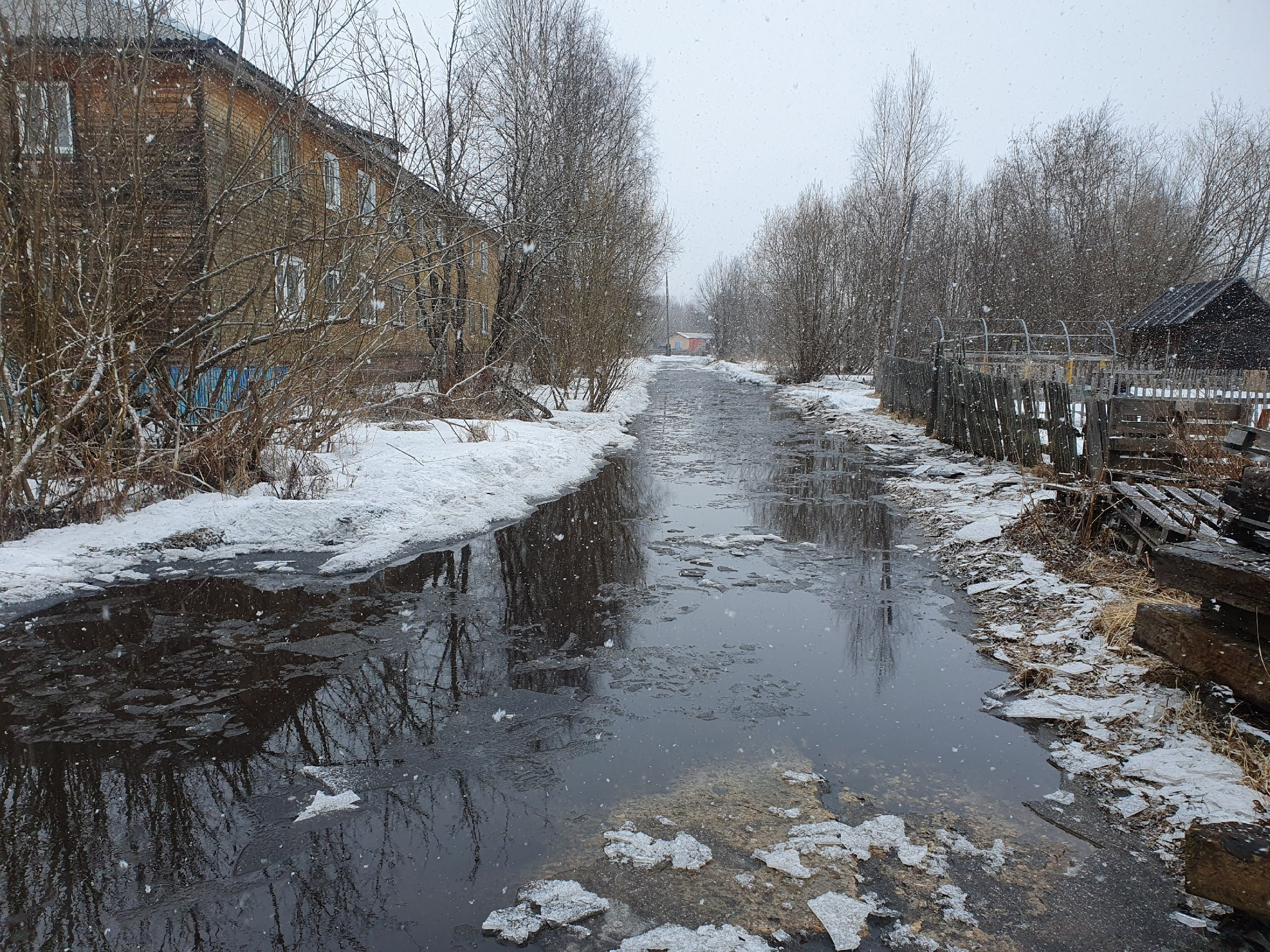 пицца маймакса снится архангельск фото 49