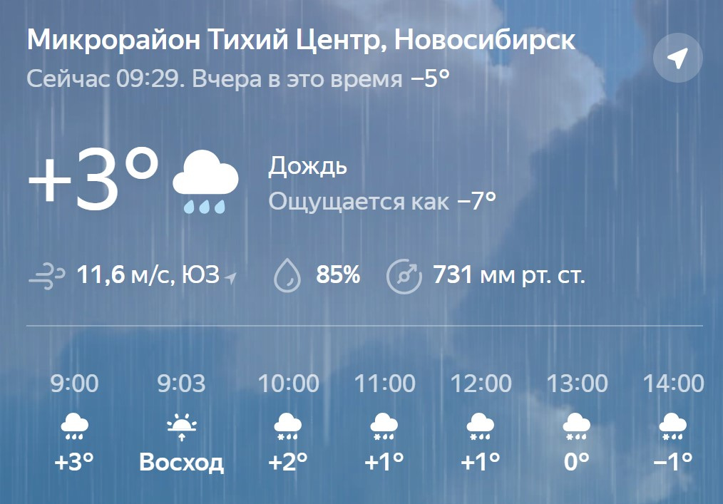 В Новосибирске потеплело до +3 градусов