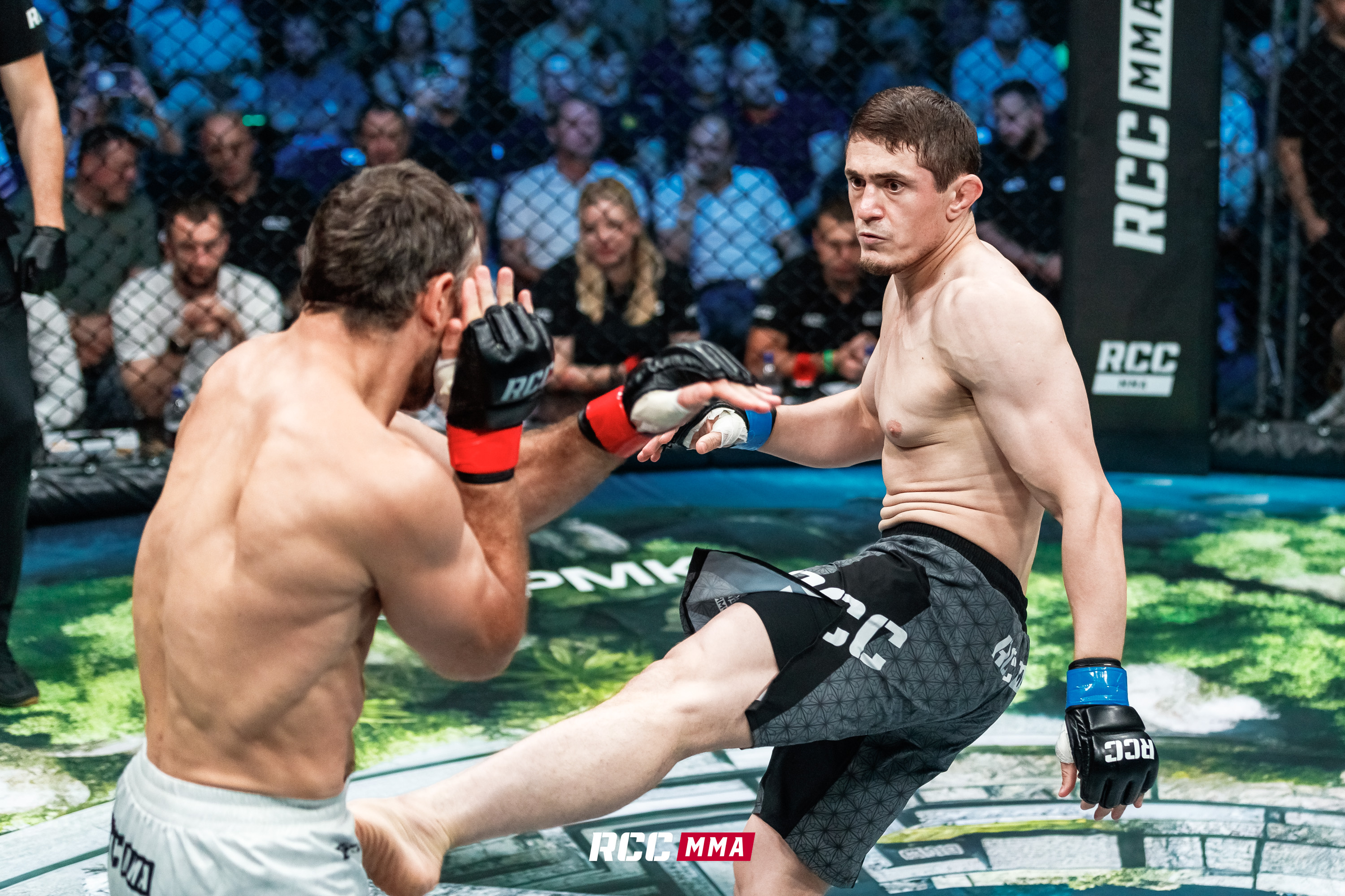 Шамиль Мусаев KSW 58