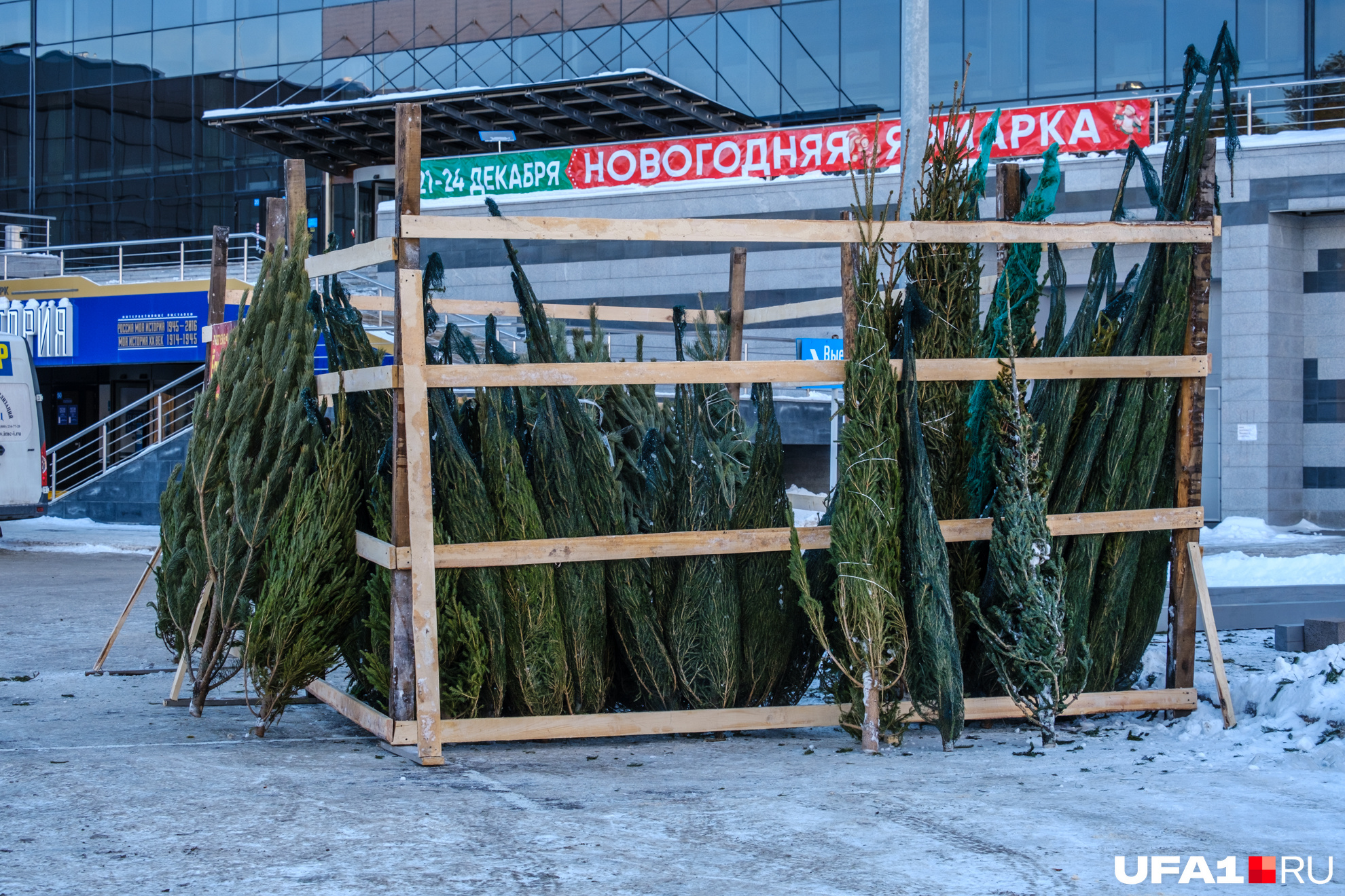 Здесь можно заказать и доставку