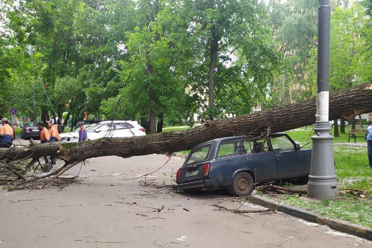 ураган в москве 1998