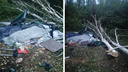 Женщина погибла из-за рухнувшего дерева на палатку: появились фотографии с места трагедии