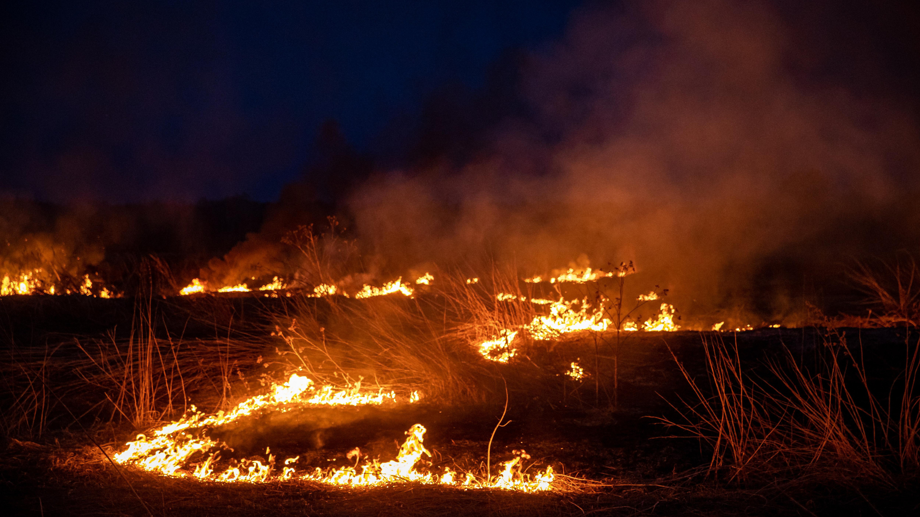 «Мама, какой ужас, я ничего не вижу!» В Абхазии массово горит лес, огонь подошел к трассе