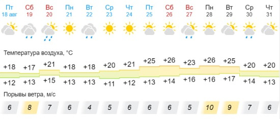 По информации Gismeteo, в Новосибирске до конца августа сохранится переменчивая погода. Ожидаются и солнечные, и дождливые дни