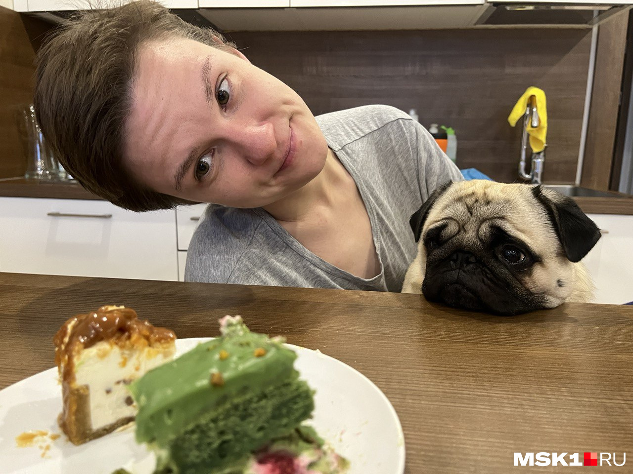Не надо кормить чужую собаку своими «вкусняшками», даже если пес упрашивает взглядом Не надо кормить чужую собаку своими «вкусняшками», даже если пес упрашивает взглядом