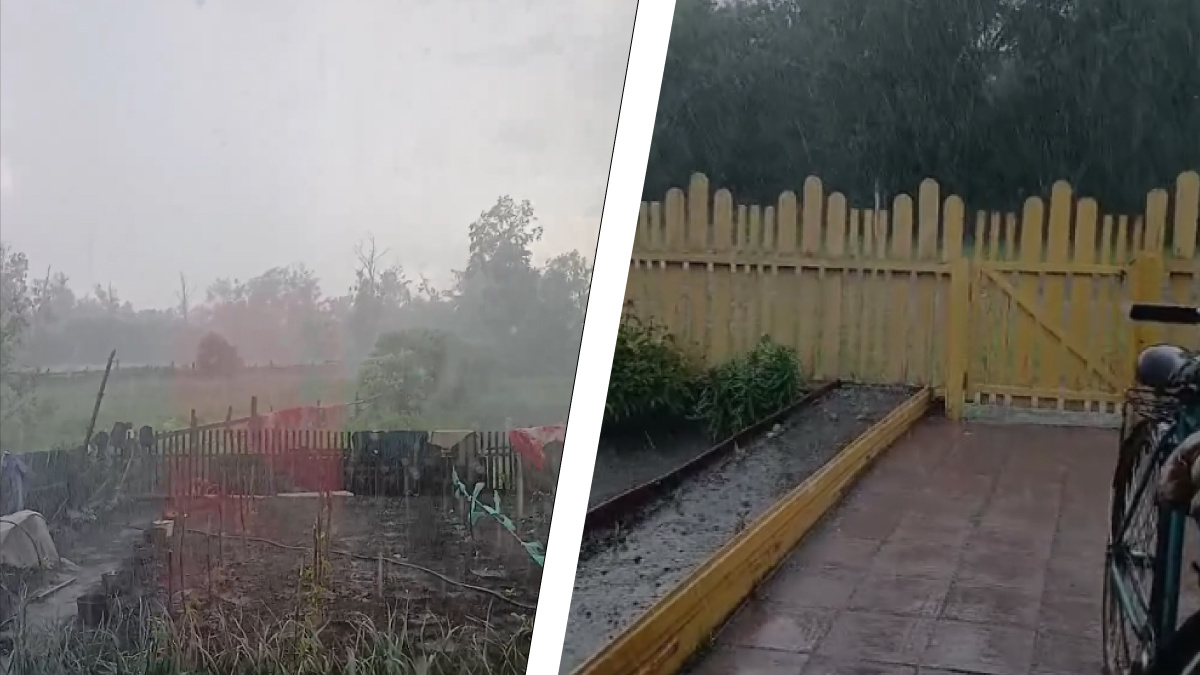 «Натуральная буря»: под Новосибирском прошел мощный ливень с градом — видео буйства стихии