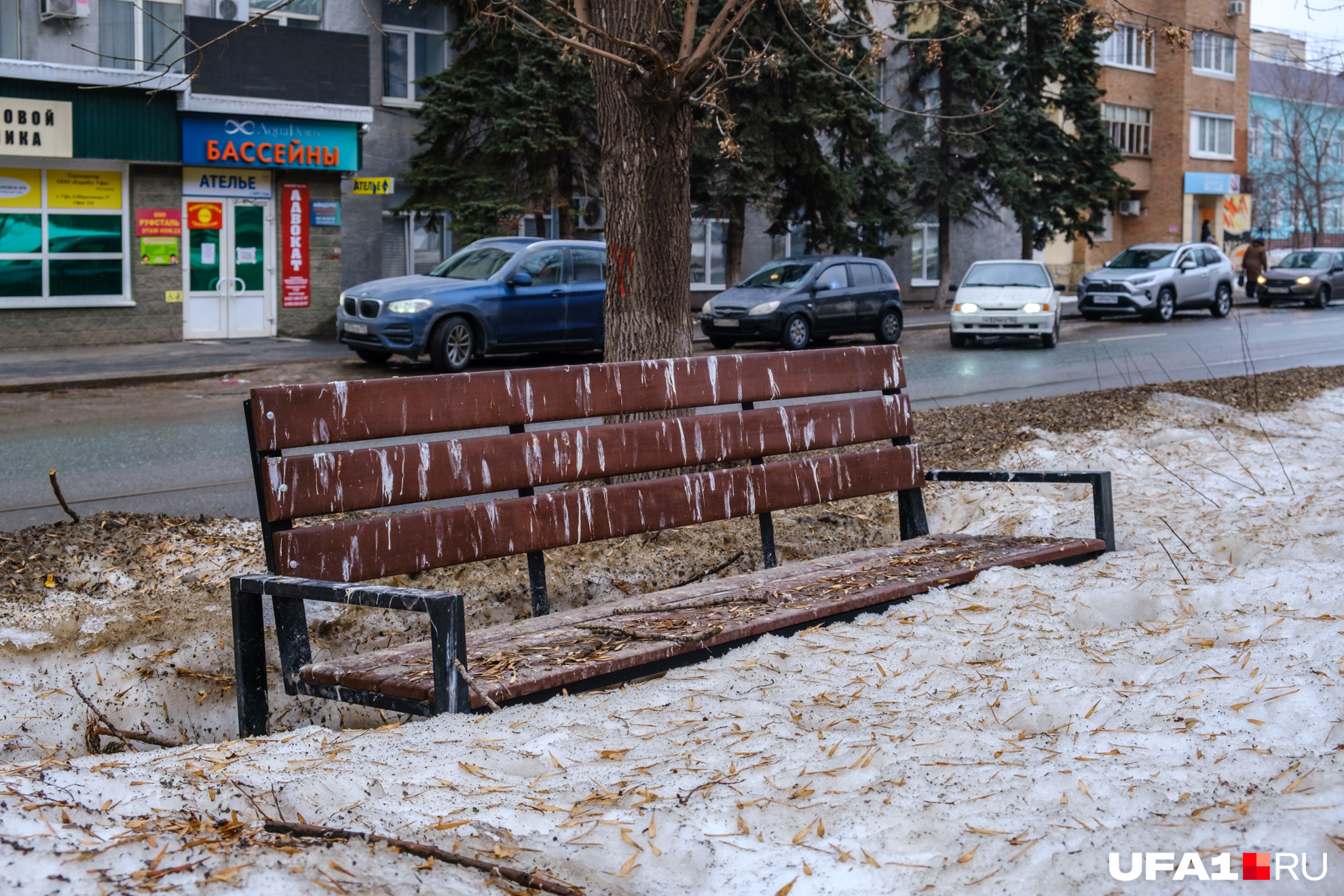 Пернатый спецназ в действии