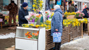 «От 50 рублей за ветку»: в Ярославле перед 8 Марта открылись цветочные базары. Изучаем расценки