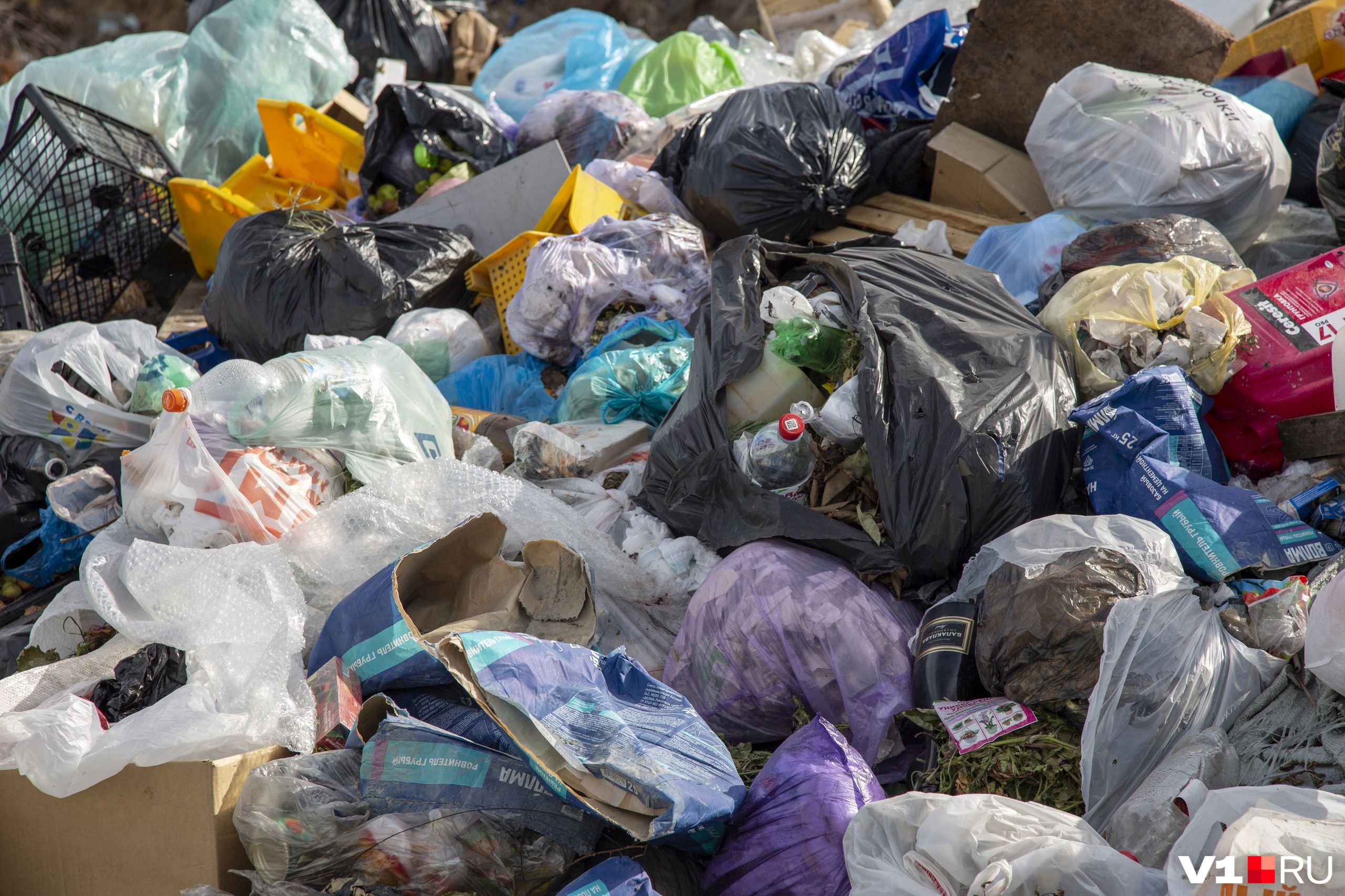 Теперь точно всё: ООО «Ситиматик-Волгоград» лишили статуса регионального мусорного оператора