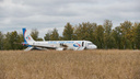 Стоит в поле уже месяц: работники колхоза начали пахать землю вокруг самолета «Уральских авиалиний», севшего в пшеницу