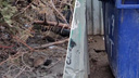 «Резвятся среди белого дня»: крысиный город обнаружили в Новосибирске — видео с грызунами