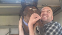 Конь Кадырова передохнул на Дону после побега из Европы