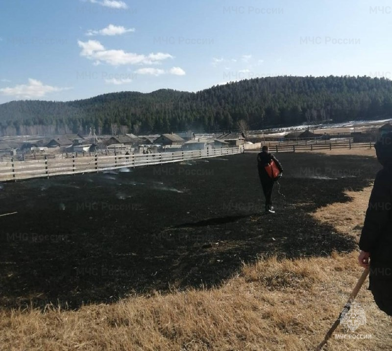 Сухая трава загорелась из-за шалости школьников с зажигалкой в Забайкалье