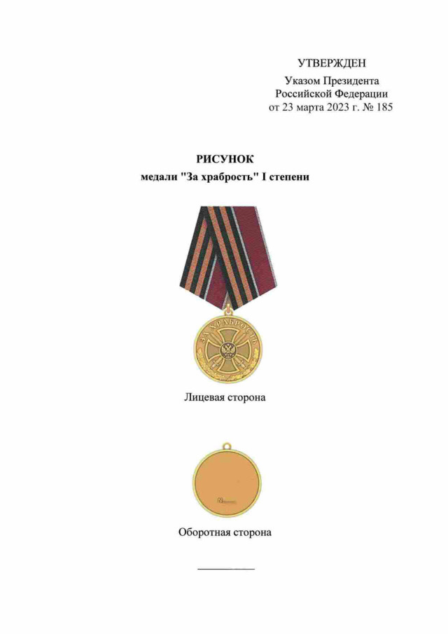 Путин указом постановил учредить медаль «За храбрость»