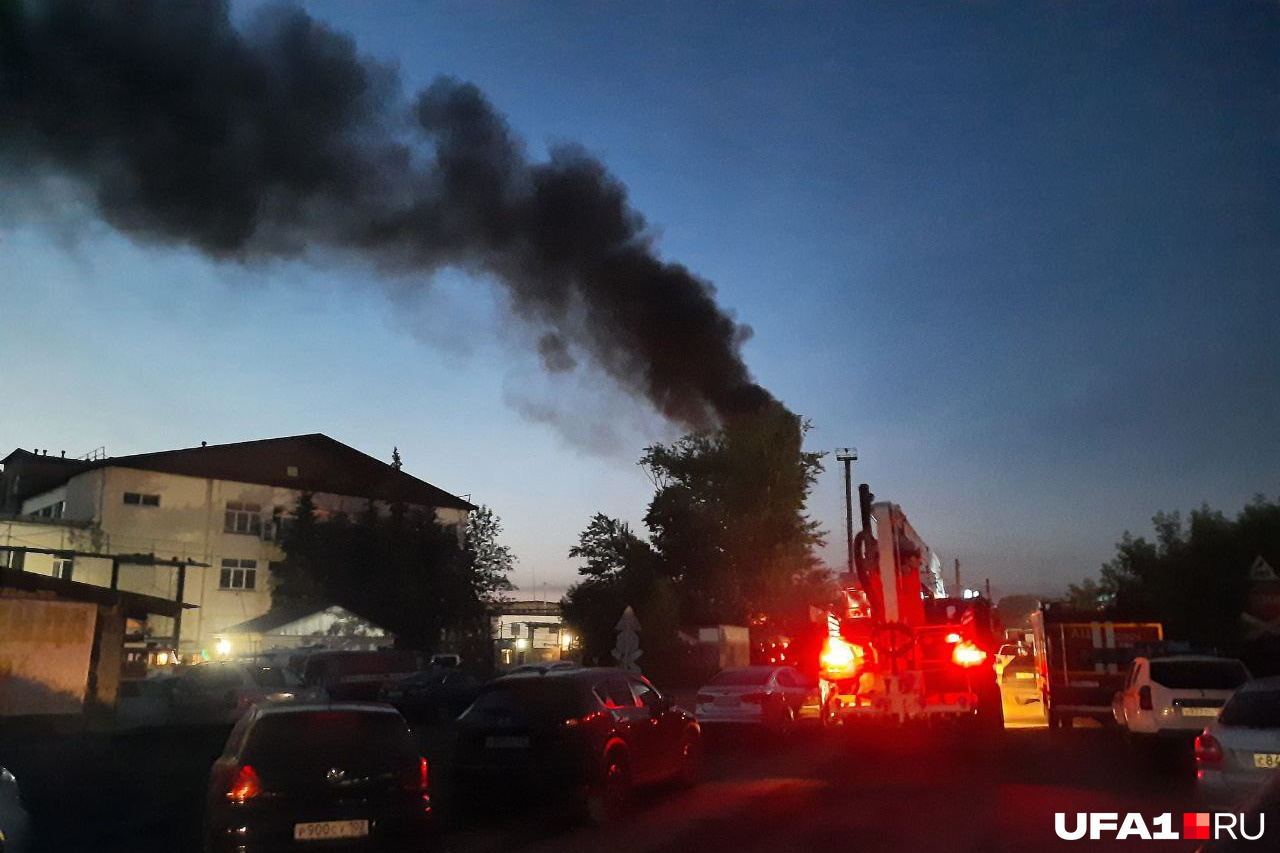 спасла австралию от пожаров своими