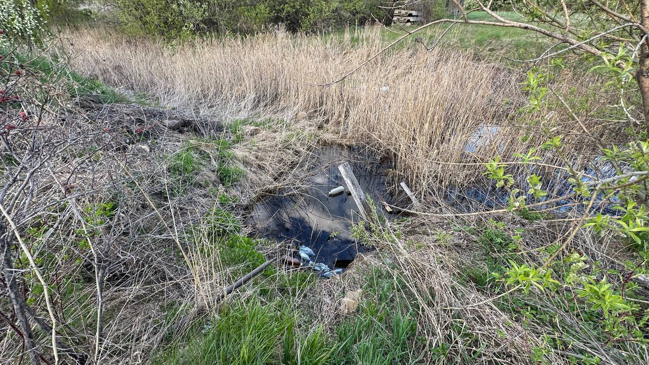 Трагедия в Ачинском районе: трехлетний мальчик остался без присмотра и утонул в болоте