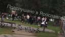 «Там заруба!»: в Ярославле толпа мужчин устроила массовую драку на улице
