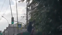 Подросток зайцем проехал на крыше троллейбуса в Новосибирске — видео