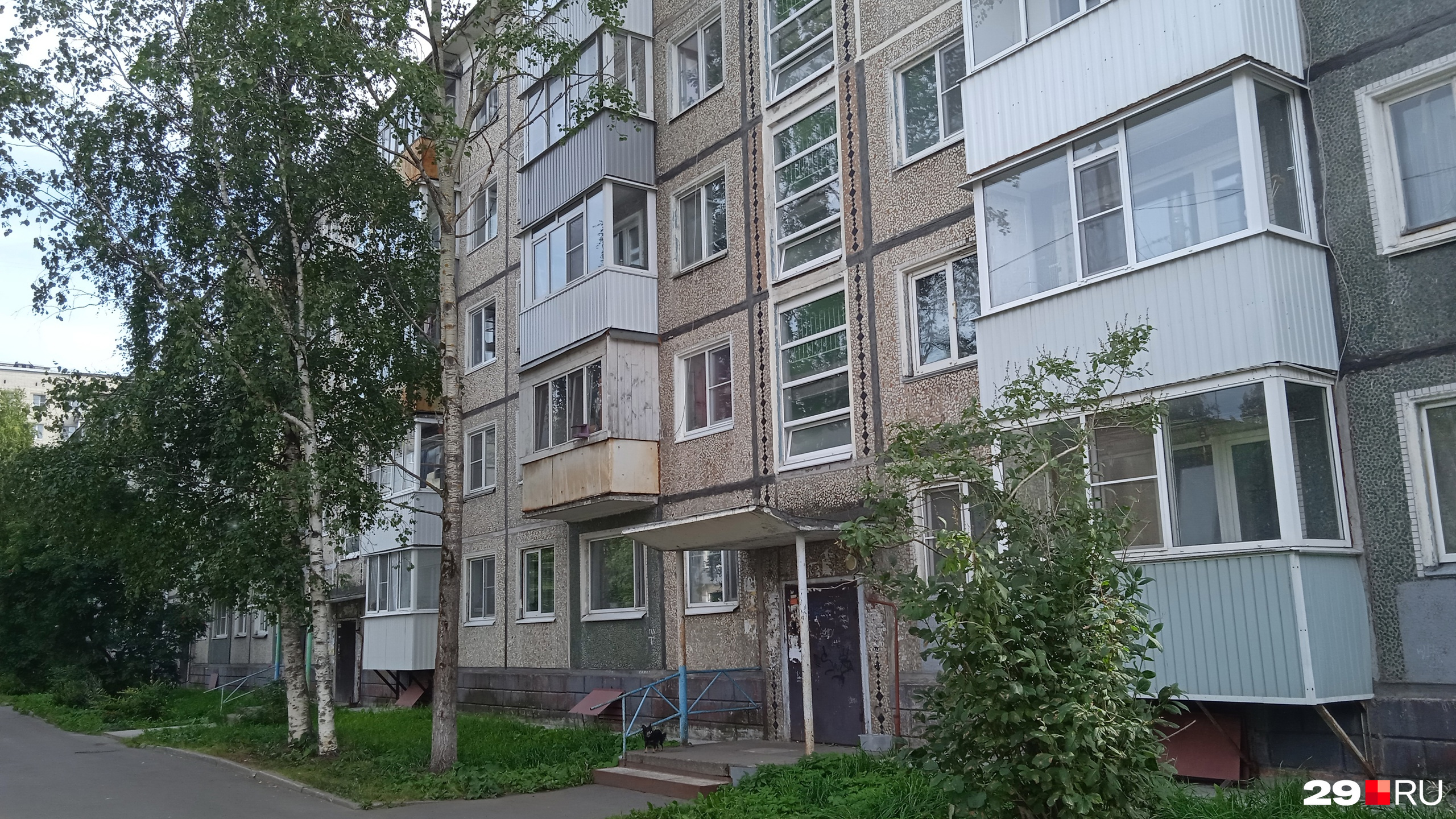Один из домов Архангельска, где люди жаловались на клопов