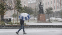 В Нижегородской области 40 населенных пунктов остались без электричества из-за первого сильного снегопада