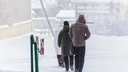 Штормовое предупреждение из-за сильнейшего ветра рассылает МЧС жителям Новосибирска на 2 и <nobr class="_">3 марта</nobr>