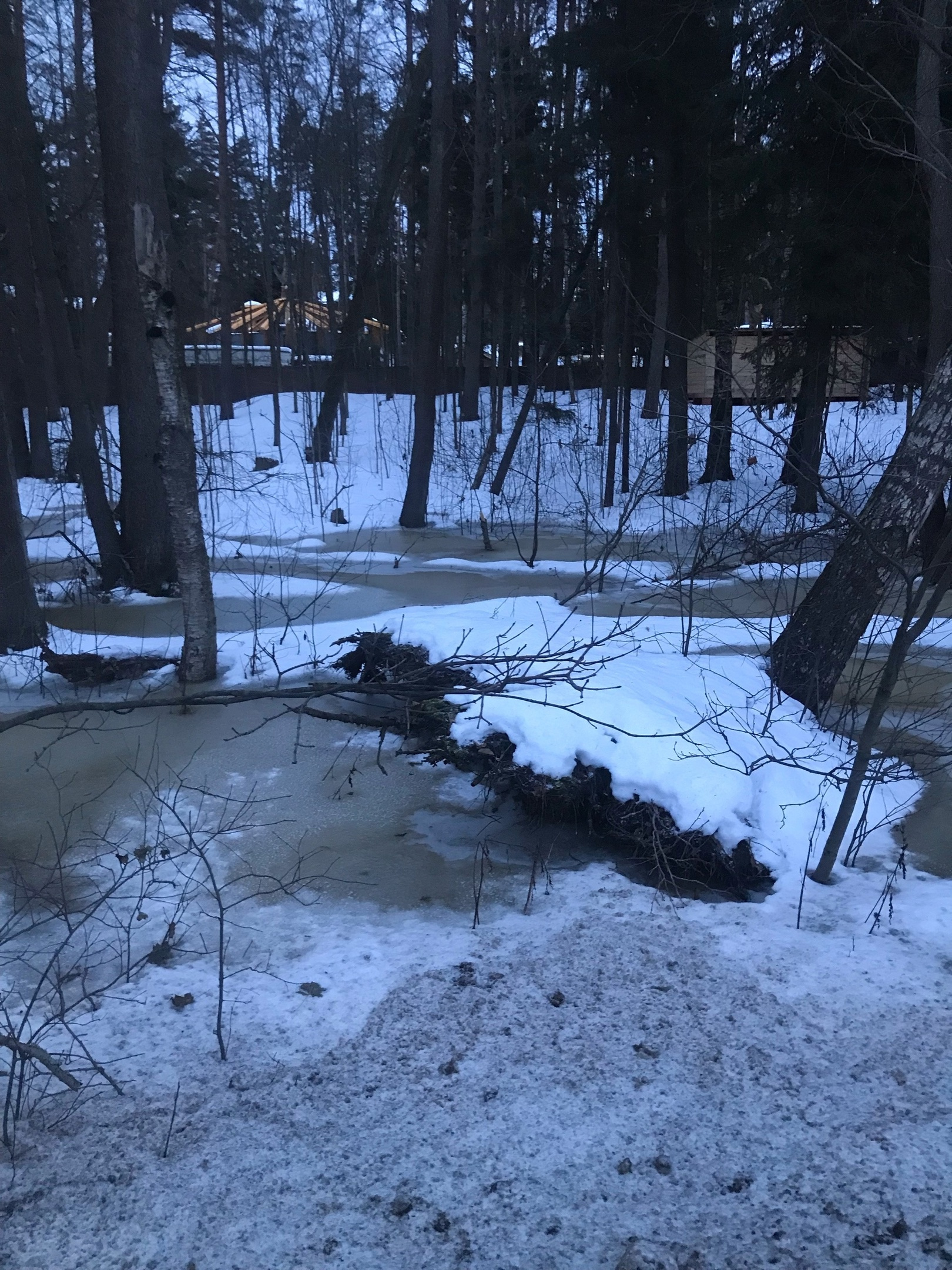 Воздух вода санкт петербург