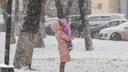 «Хлынет поток арктической стужи»: какой погоды ждать 31 декабря в Ярославле и Центральной России