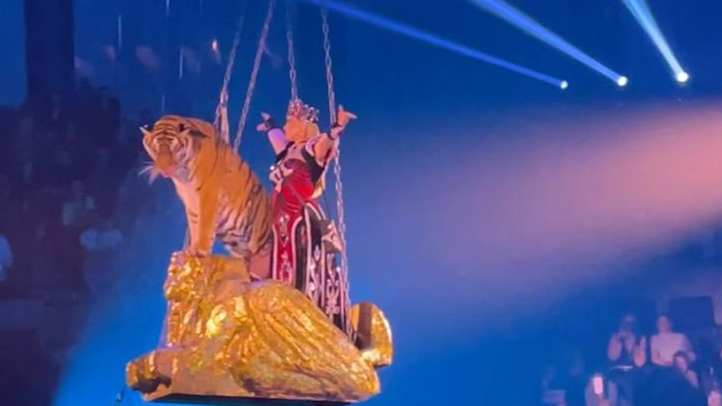 Летающие тигры и люди в форме: журналист НГС проверила меры безопасности в цирке во время гастролей Гии Эрадзе