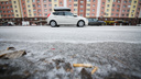 После ледяного дождя в Челябинской области ударят 20-градусные морозы