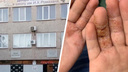 «Заставила снять перчатки, смотрела брезгливо»: мама из Магнитогорска отсудила у школы компенсацию за травлю сына с экземой на руках