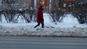 После критики горожан Морев заявил, что лично поедет по городу проверять уборку снега