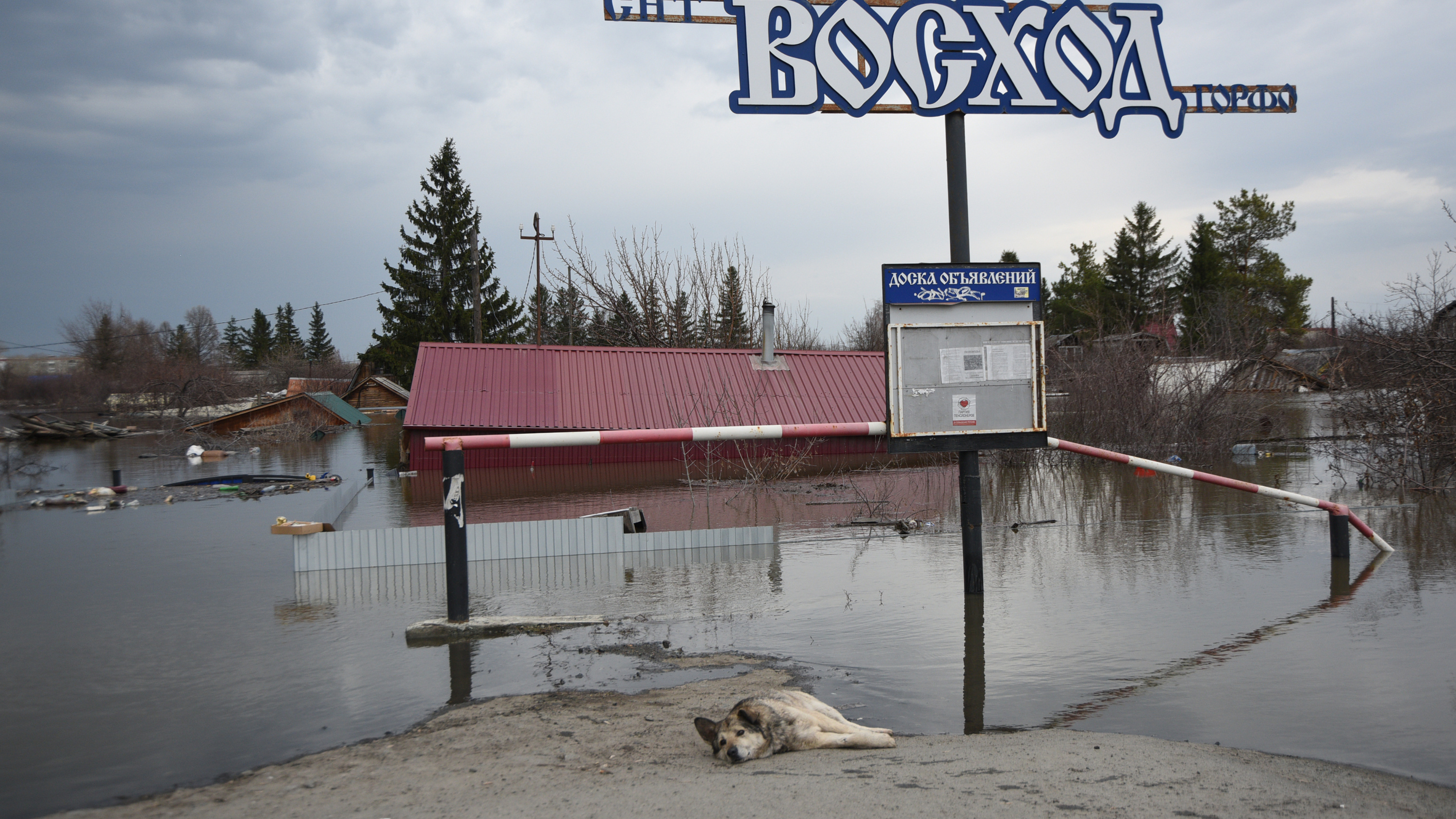 Чтобы очухаться от наводнения: правительство выделило Курганской области 4 млрд рублей