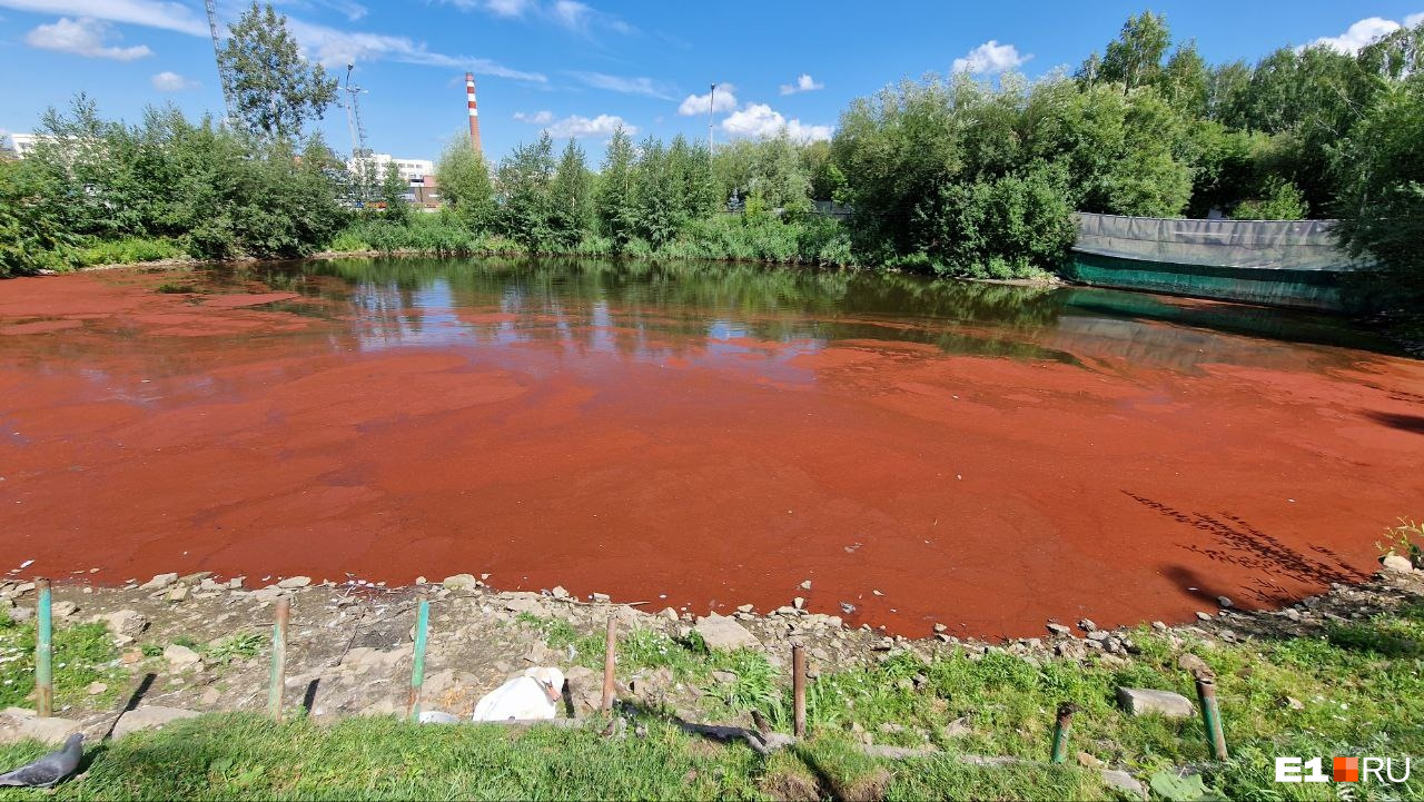 Екатеринбуржцев напугало «кровавое» озеро в Парке Маяковского. Откуда оно там взялось?
