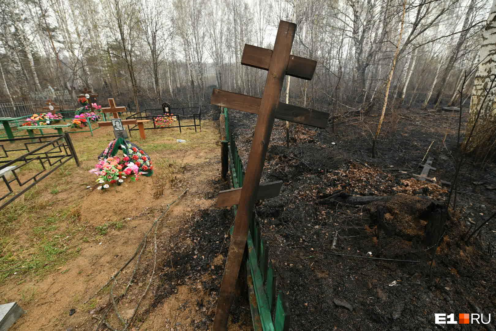 ЧП в Подмосковье: 25-летний сотрудник силовых ведомств покончил с собой на  могиле своего отца в Чехове Московской области - 7 ноября 2023 - msk1.ru