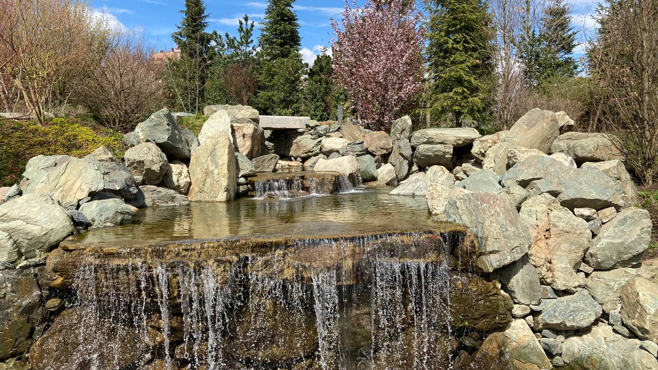 Как выглядит новый Японский сад в парке Галицкого: потрясающее видео