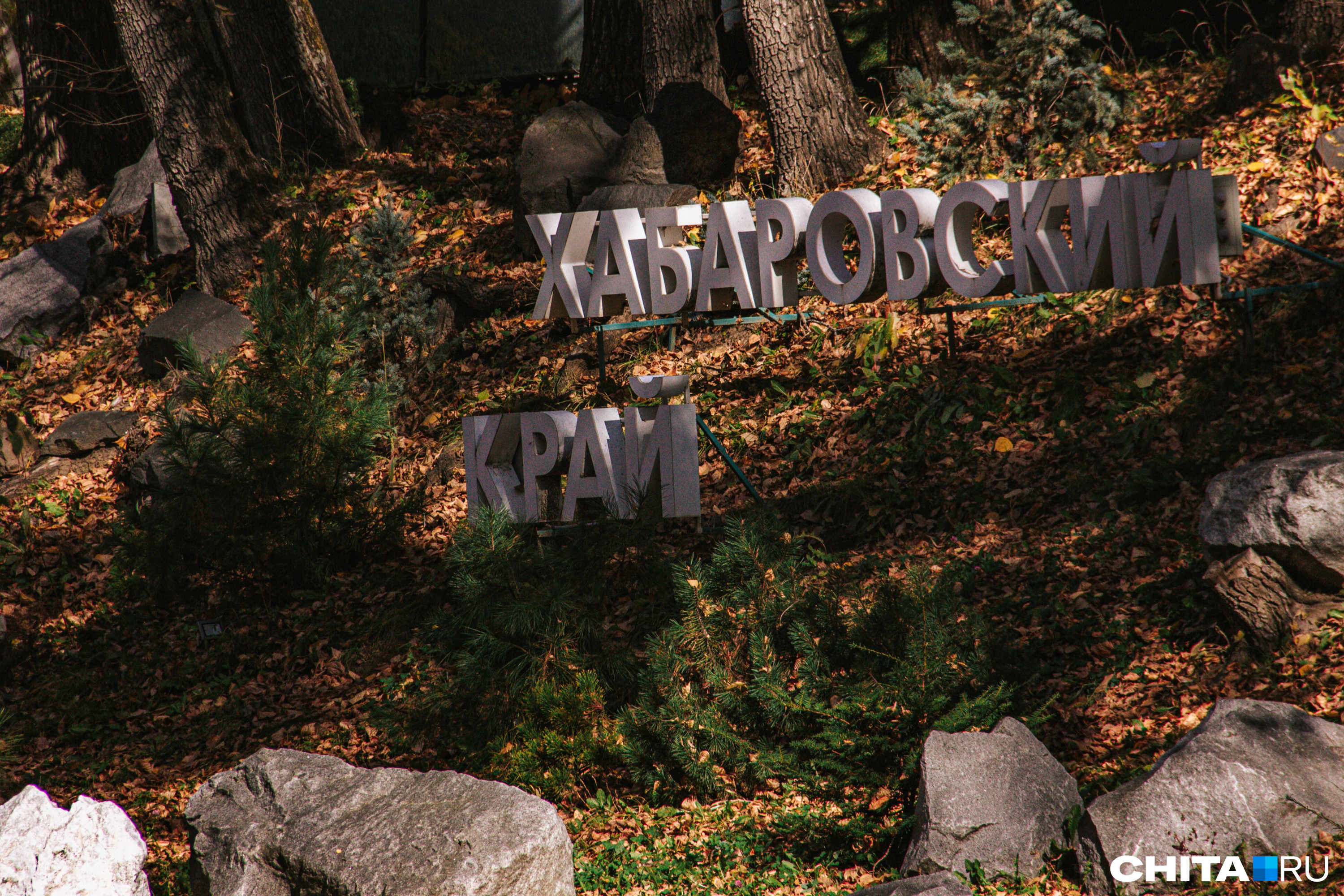 Хабаровск глазами туриста: добрые люди, знаменитый мост с купюры в 5000, холмы, реки - 14 ноября 2023 - 72.ru
