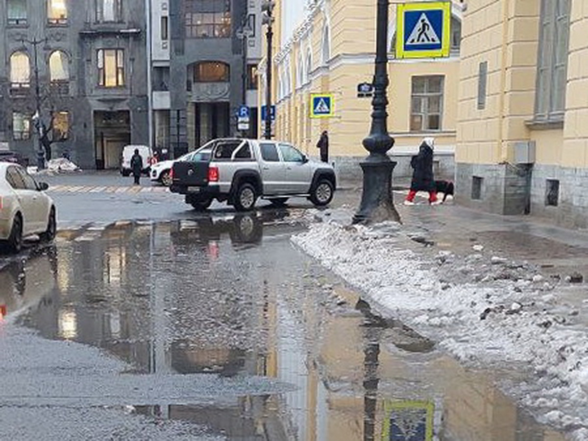 Почему во время оттепели в Петербурге не уходят в канализацию лужи - 24  января 2024 - Фонтанка.Ру