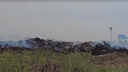 «Дым разносит по городу»: в Самаре снова начала тлеть огромная свалка мусора