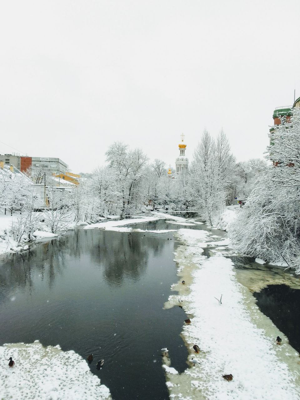 Деревья не вынесли весенне-зимней сказки. Петербург ощутил мощь мартовского снега